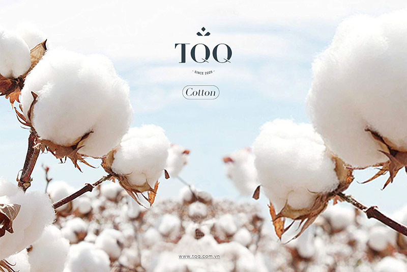 Vải cotton cao cấp thấm hút mồ hôi tốt, mang đến sự thoáng mát, dễ chịu cho các quý ông tuổi 50